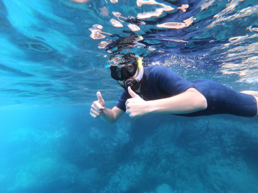 South Tenerife: Guided Snorkeling - Timing, Pickup, and Small Practical Details