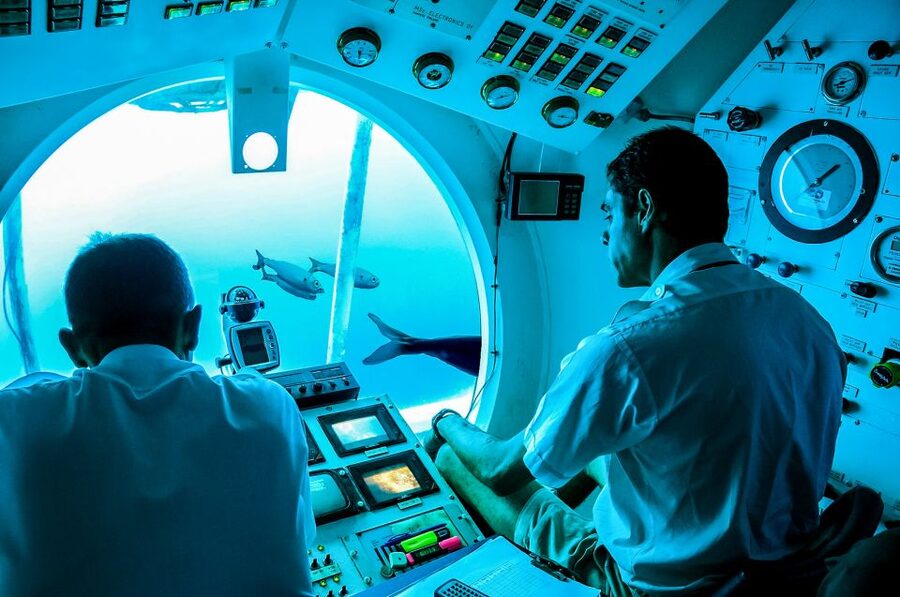 Southern Tenerife: 50-Minute Submarine Dive - The first underwater views