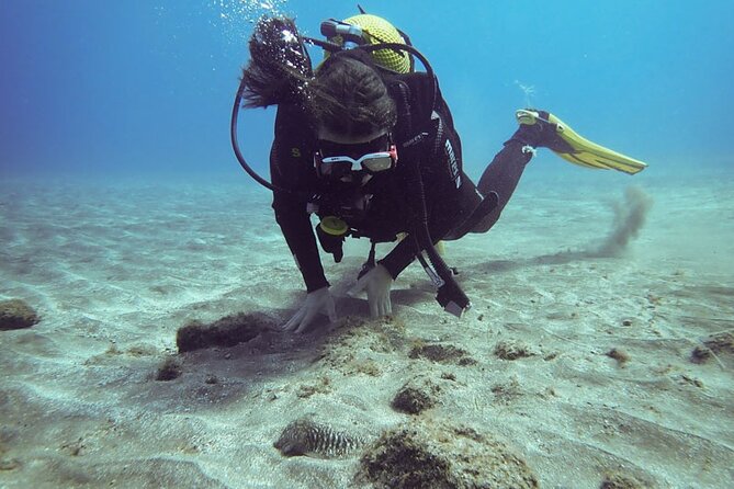 SSI basic diver In Tenerife - 2 Dives - Key points for your Tenerife scuba morning