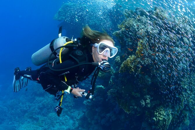 SSI Open Water Diver Course in Tenerife - Four open-water sessions around Golf del Sur