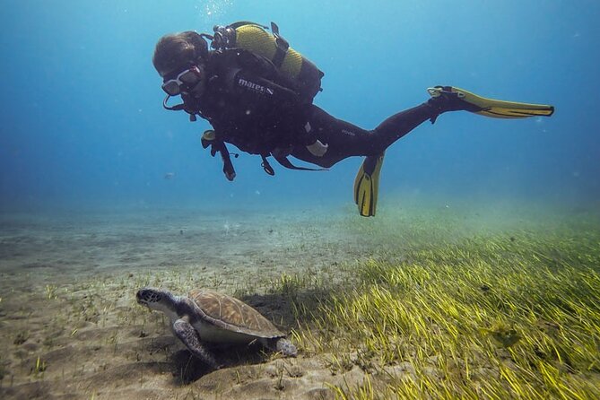 SSI Open Water, South Tenerife - Learning the basics in El Médano