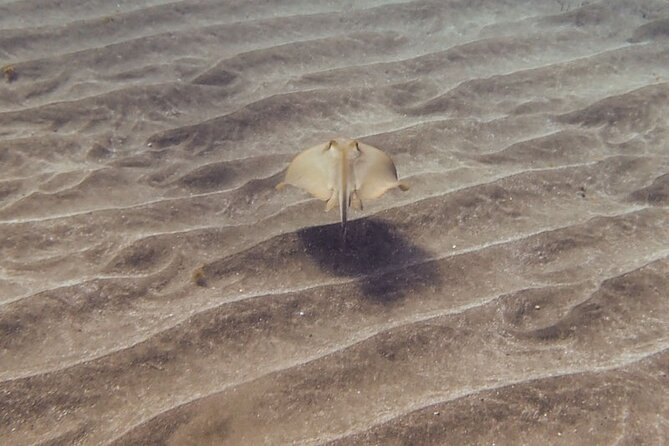 SSI Open Water, South Tenerife - Six sessions, three days, and a serious learning curve