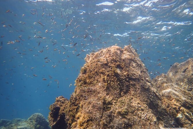 SSI Open Water, South Tenerife - What the $600.85 price covers