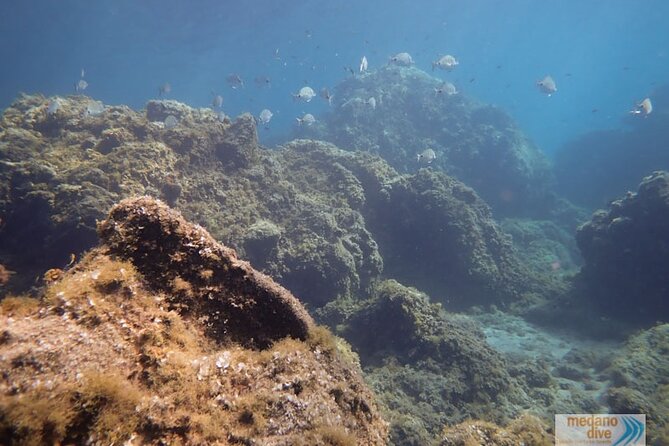 SSI Open Water, South Tenerife - Practical planning before you arrive
