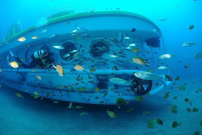 Submarine tour Tenerife: a 1 hour underwater experience - The Diver, Rays, Fish, and Shipwrecks