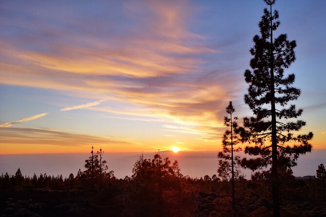 Sunset & Stargazing Experience From Teide - The 2,000-meter stargazing session