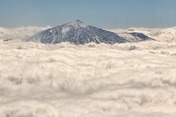 Teide 1/2 Day - Teide National Park in a half-day