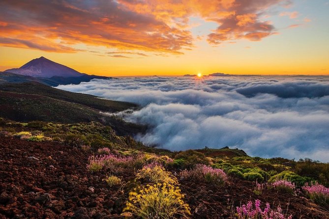 Teide 1/2 Day - Is $59.41 good value?