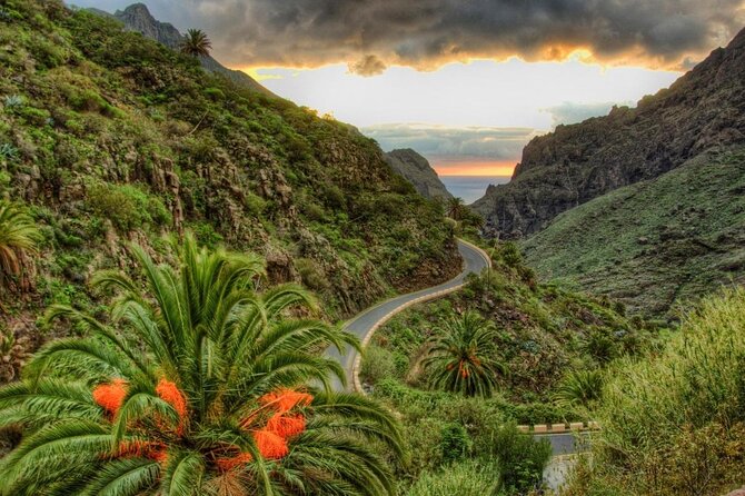 Teide-Icod-Garachico-Masca (Most popular bus tour in Tenerife) - Key points to know before booking