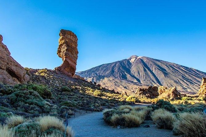 Teide-Icod-Garachico-Masca (Most popular bus tour in Tenerife) - Four very different sides of Tenerife in one day