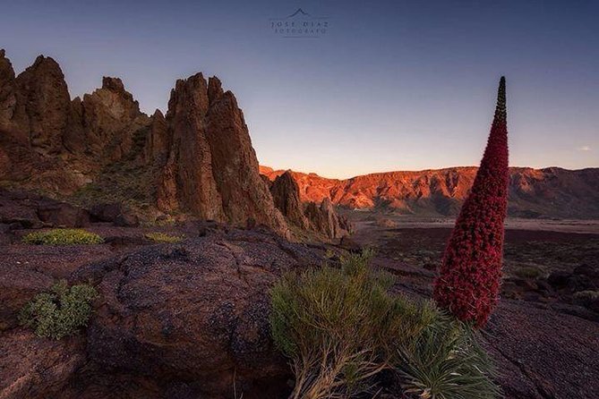 Teide-Icod-Garachico-Masca (Most popular bus tour in Tenerife) - What the seven to eight hours feel like