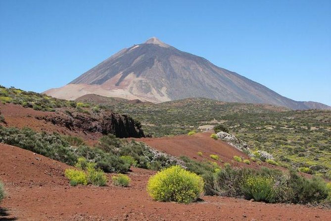 Teide National Park (5-7hours) - Pine forest, lava, and changing views