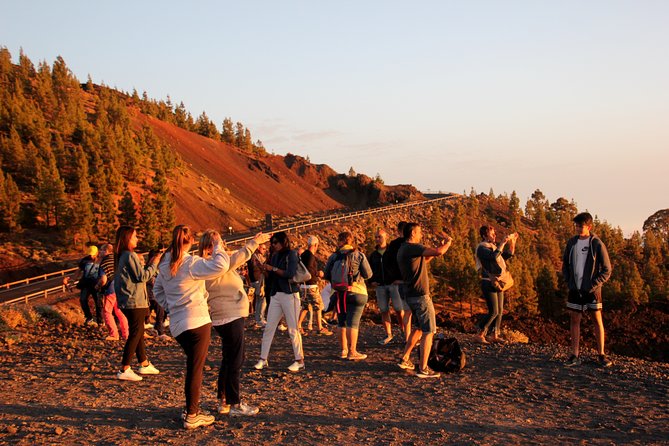 Teide National Park Exclusive and private Tour - Who will enjoy this short Teide outing
