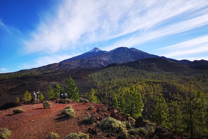 Teide National Park for smaller groups - Boca Tauce: the first great lava view