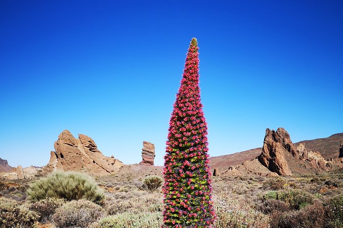 Teide National Park for smaller groups - Roques de García is the main stop