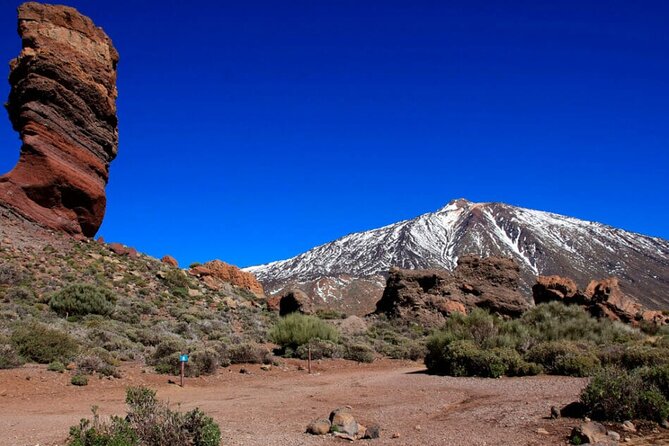Teide National Park Full Experience with Professional Guide - Why this Teide tour feels different