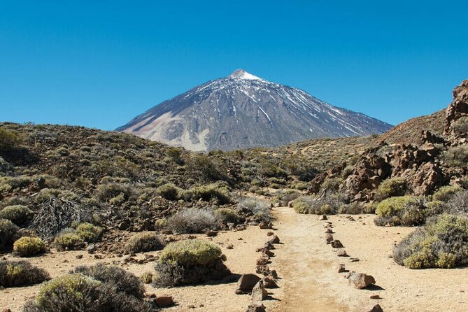 Teide National Park Full Experience with Professional Guide - Three hours through Teide National Park