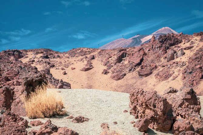 Teide National Park Full Experience with Professional Guide - Zapatilla de La Reina, the Queen’s Shoe