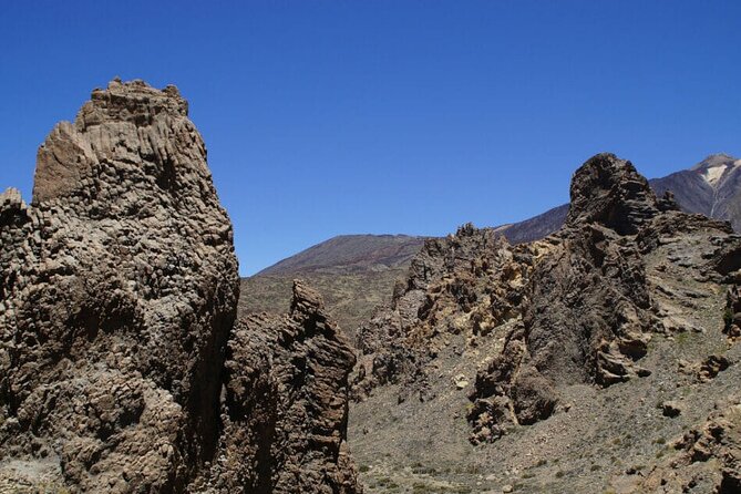 Teide National Park Full Experience with Professional Guide - El Pino Gordo, a giant Canary Island pine
