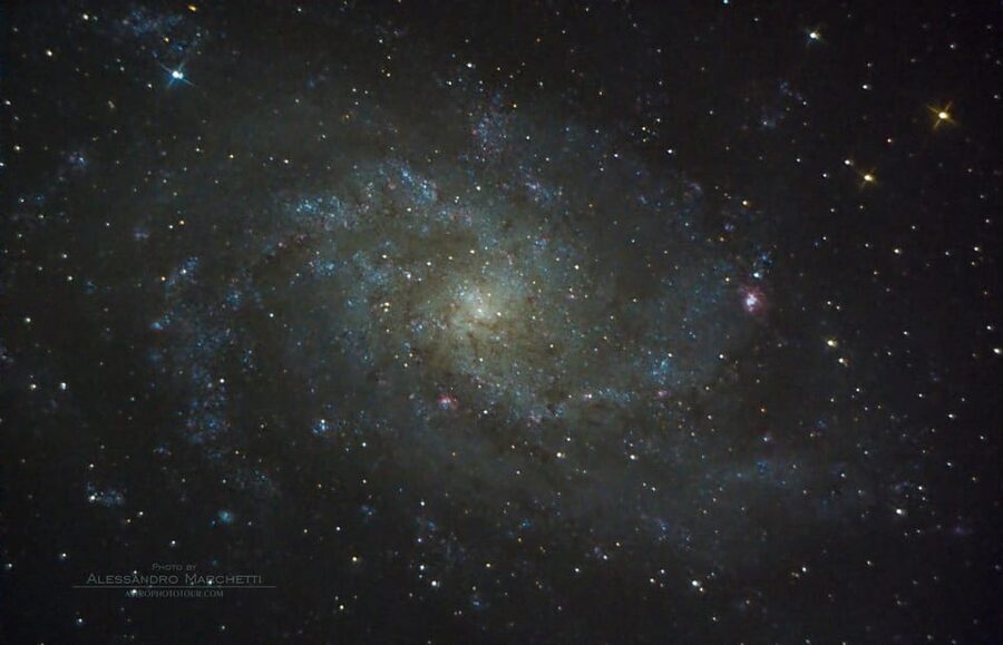 Teide National Park: Guided Large Telescope Stargazing Tour - Is $58 a fair price?