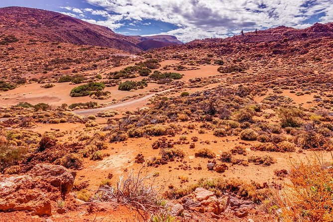 Teide National Park Half Day Tour with Hotel Pick up - Roques de Garcia and the best photo stops