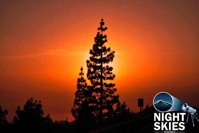 Teide National Park Sunset & Stargazing with Dinner (Star Safari) - From South Tenerife to the high volcanic country