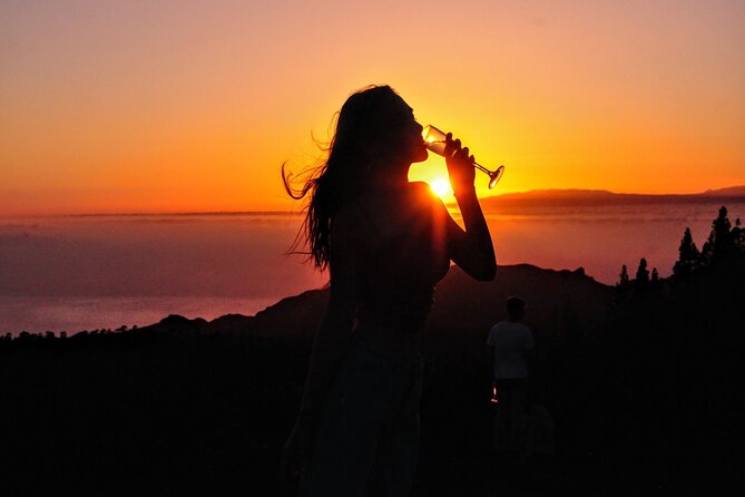 Teide National Park Sunset & Stargazing with Dinner (Star Safari) - The real cost of a 70-person astronomy session