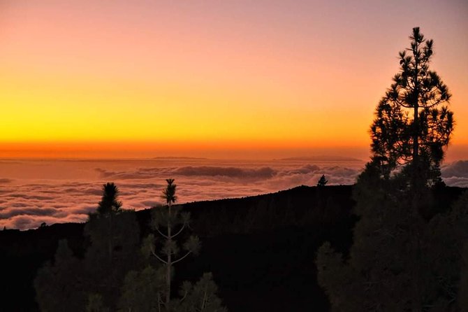 Teide National Park Sunset & Stargazing with Dinner (Star Safari) - Who will get the most from this Teide evening?