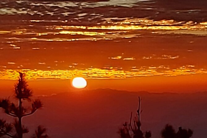 TEIDE NIGHT, Stargazing Bus Tour, Meal & Drinks included! - Pickup, meeting points, and timing