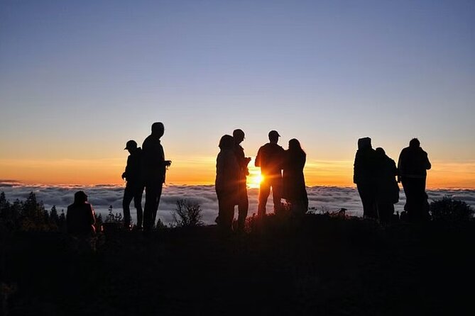 TEIDE NIGHT, Stargazing Bus Tour, Meal & Drinks included! - Is $117.11 a fair price?