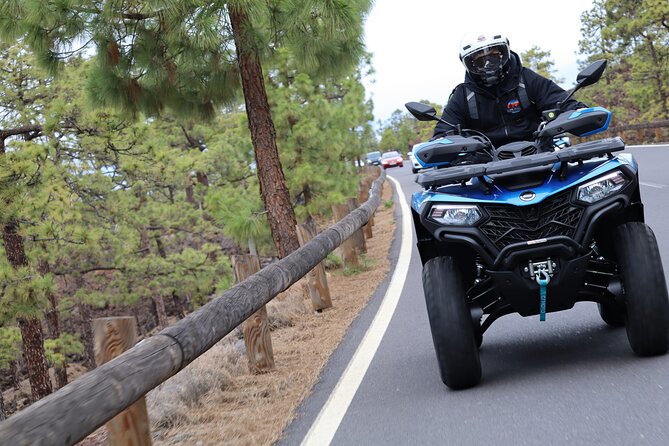 Teide Quad Volcanic Tour Teide National Park - Pickup, timing, and practical details