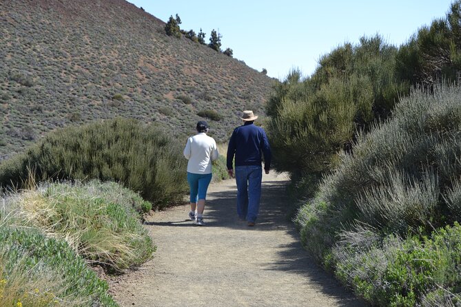 TEIDE: VIP tour - The black lava of Narices del Teide