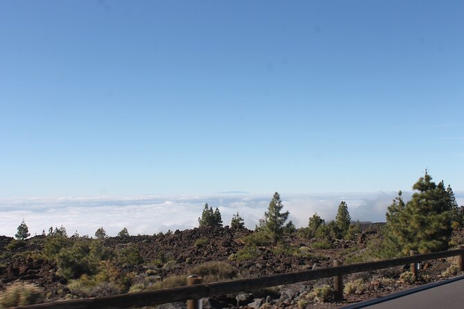 Teide Volcano National Park Quad Biking Tour - A small group, but not a private tour