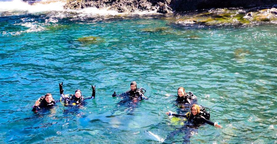 Tenerife: 2-Dive Private Scuba Discovery Course - The underwater setting and marine life