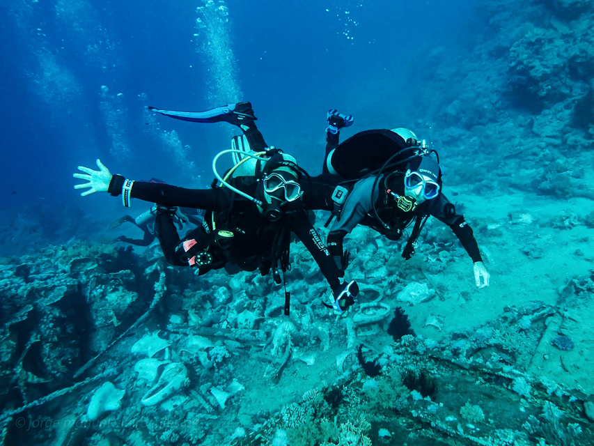Tenerife: 2-Dive Private Scuba Discovery Course - Should you book the Tenerife private scuba experience?