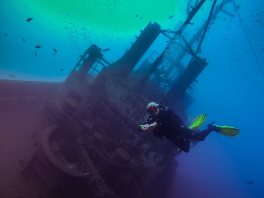Tenerife: 2 Diving Sessions for Certified Divers - What the underwater scenery is really like