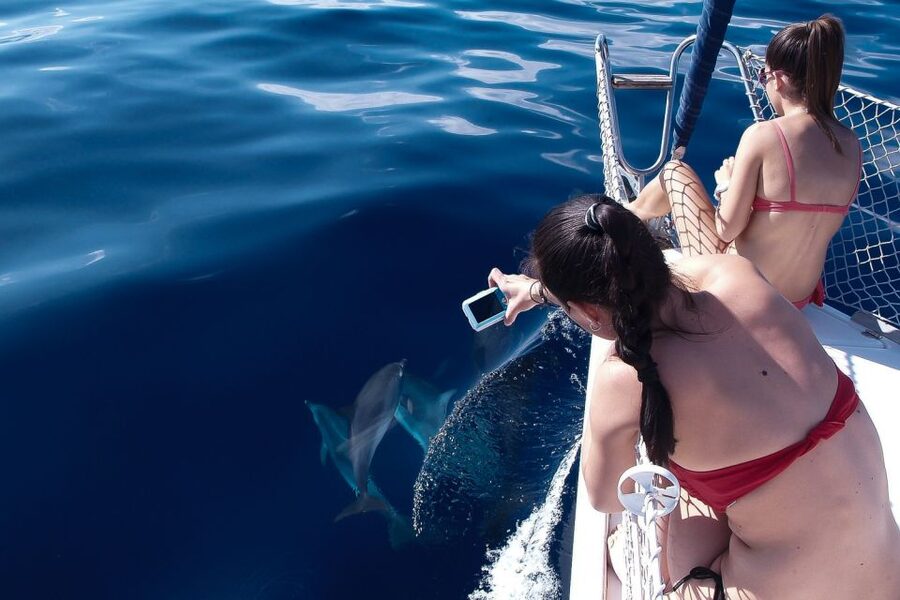 Tenerife: 3 &-6 Hour Private Whale & Dolphin Watching - Who will enjoy this Tenerife boat trip?
