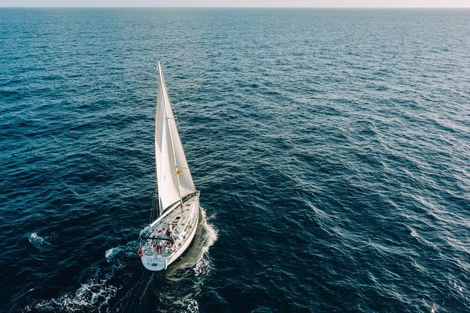 Tenerife 3-Hour Discover Whales and Dolphins - What the three-hour schedule feels like
