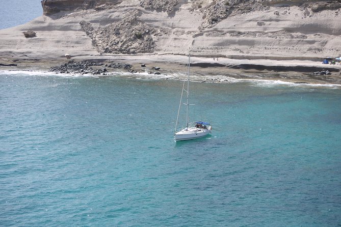 Tenerife 3-Hour Discover Whales and Dolphins - La Caleta de Adeje and the swimming stop