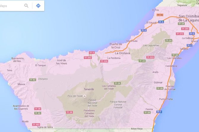Tenerife Airport Transfer from South Airport (Reina Sofia) to North Area Hotels - What the private ride is like