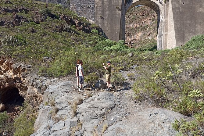 Tenerife Alternative Tour. Arico, Güímar, Fasnia- photos included - Choosing the Optional Canarian Lunch