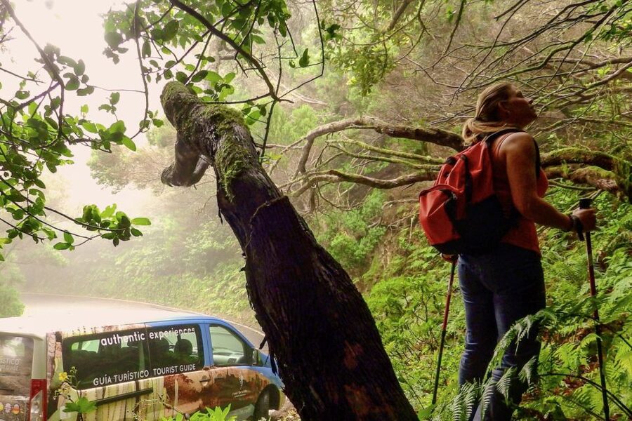 Tenerife: Anaga Rural Park Private Tour - Key points to know before booking