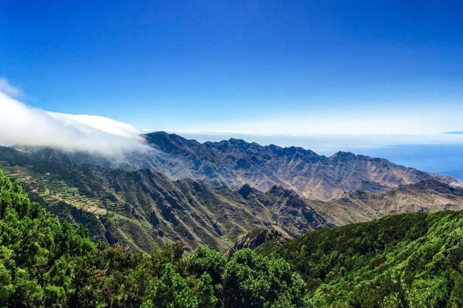 Tenerife: Anaga Rural Park Private Tour - Who will enjoy this day most