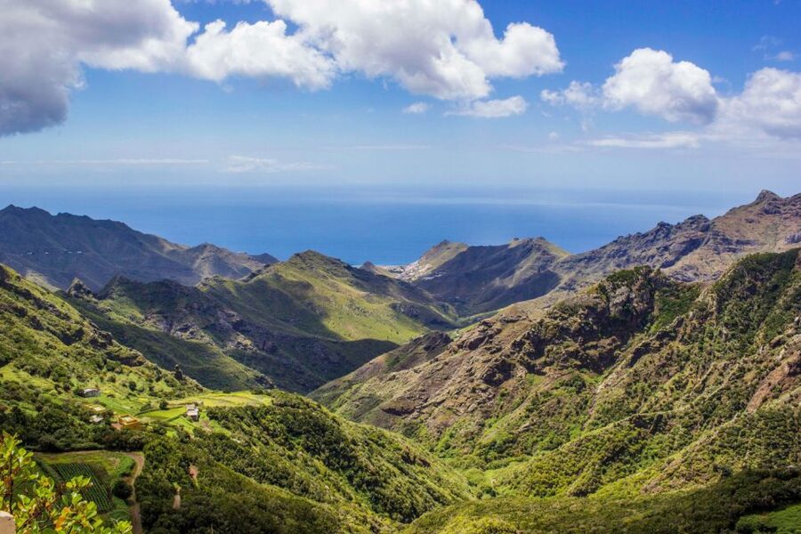 Tenerife: Anaga Rural Park Private Tour - What the $888 price really buys