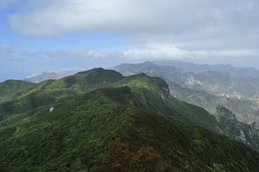 Tenerife: Anaga UNESCO VIP TOUR - Starting in Santa Cruz and the La Laguna area
