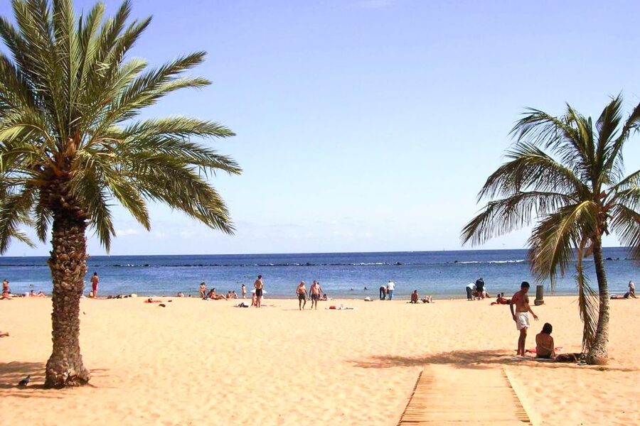 Tenerife: Anaga UNESCO VIP TOUR - Short walks, viewpoints, and the value of a small group
