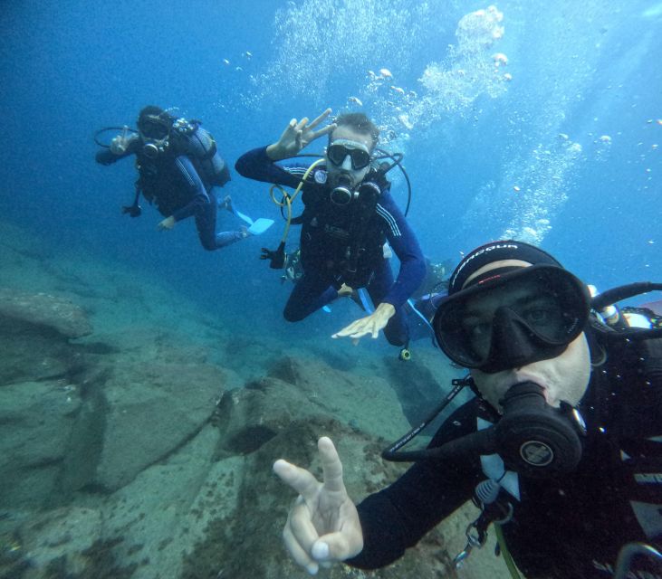 Tenerife: Beginner's Dive at a Spot with Turtle Sightings - Key points to know before booking