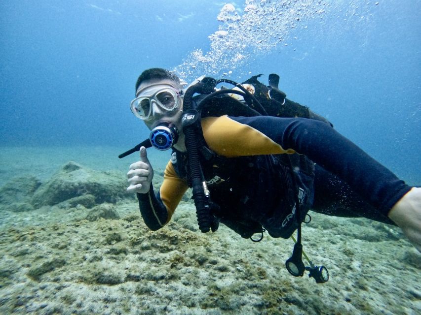 Tenerife: Beginner's Dive at a Spot with Turtle Sightings - Starting at Puerto Colón with a clear safety lesson