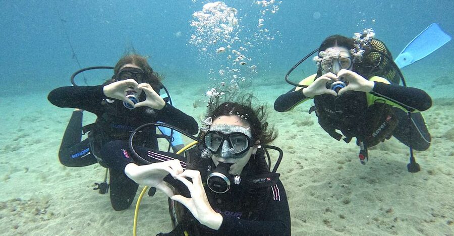 Tenerife: Beginner's Dive at a Spot with Turtle Sightings - A 45-minute underwater introduction at 10 meters