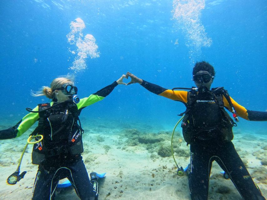 Tenerife: Beginner's Dive at a Spot with Turtle Sightings - Snorkeling while the other person explores